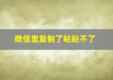 微信里复制了粘贴不了