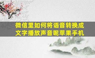 微信里如何将语音转换成文字播放声音呢苹果手机