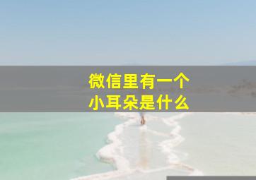 微信里有一个小耳朵是什么