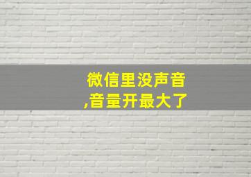 微信里没声音,音量开最大了