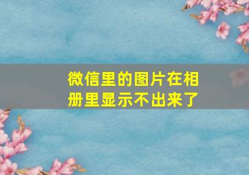 微信里的图片在相册里显示不出来了