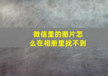 微信里的图片怎么在相册里找不到