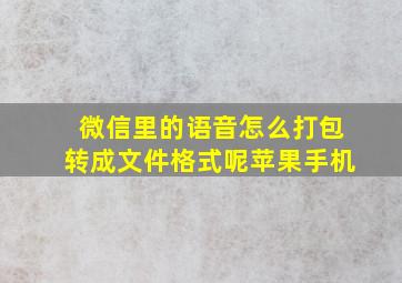 微信里的语音怎么打包转成文件格式呢苹果手机