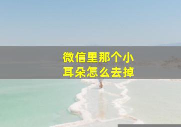 微信里那个小耳朵怎么去掉