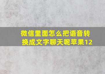 微信里面怎么把语音转换成文字聊天呢苹果12