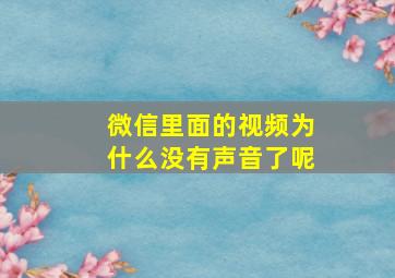 微信里面的视频为什么没有声音了呢