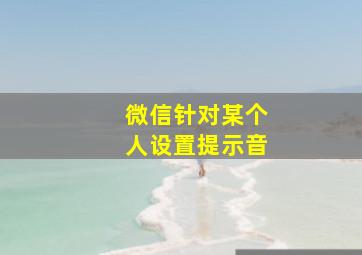 微信针对某个人设置提示音