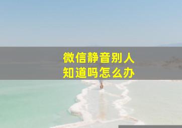 微信静音别人知道吗怎么办