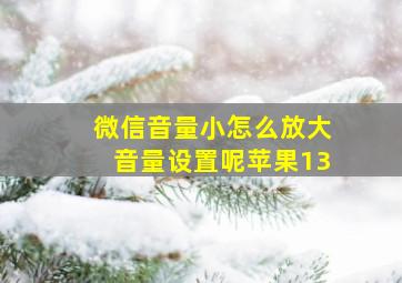 微信音量小怎么放大音量设置呢苹果13