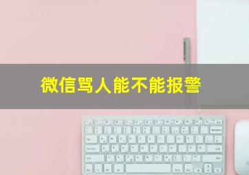 微信骂人能不能报警