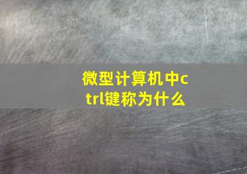 微型计算机中ctrl键称为什么