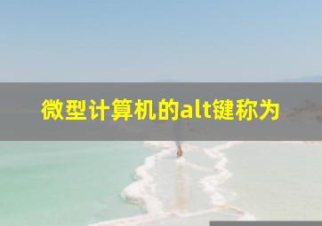 微型计算机的alt键称为