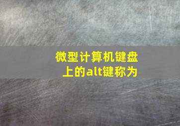 微型计算机键盘上的alt键称为