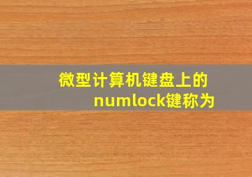 微型计算机键盘上的numlock键称为