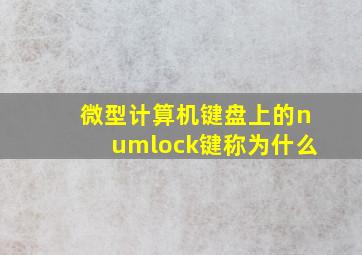 微型计算机键盘上的numlock键称为什么