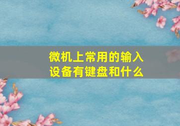 微机上常用的输入设备有键盘和什么