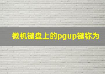 微机键盘上的pgup键称为