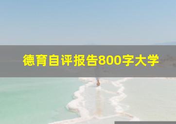 德育自评报告800字大学