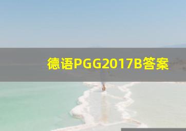 德语PGG2017B答案