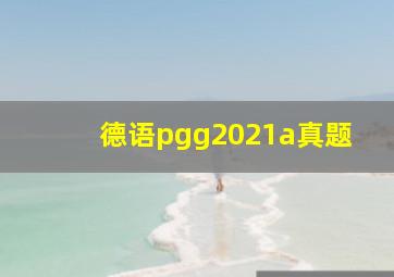 德语pgg2021a真题