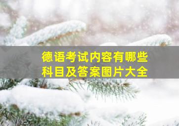 德语考试内容有哪些科目及答案图片大全