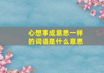 心想事成意思一样的词语是什么意思