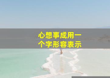 心想事成用一个字形容表示