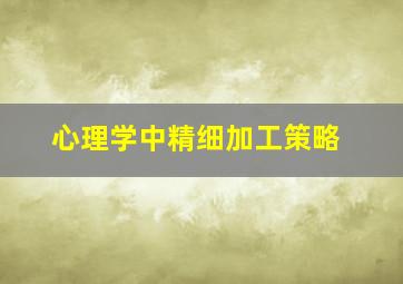 心理学中精细加工策略