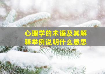 心理学的术语及其解释举例说明什么意思