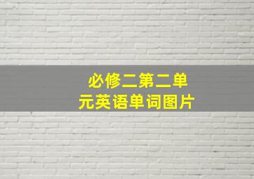 必修二第二单元英语单词图片