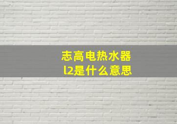 志高电热水器l2是什么意思