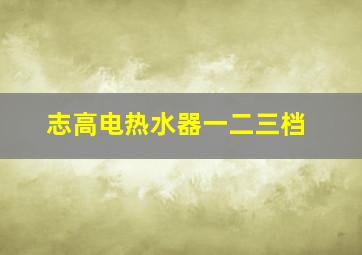 志高电热水器一二三档