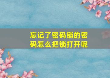 忘记了密码锁的密码怎么把锁打开呢