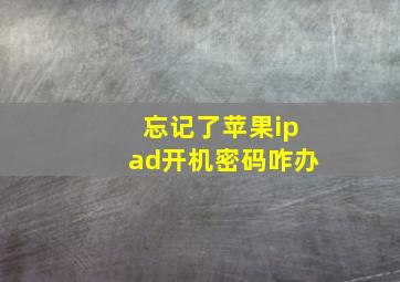 忘记了苹果ipad开机密码咋办