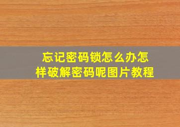 忘记密码锁怎么办怎样破解密码呢图片教程