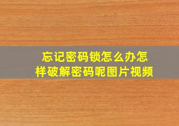 忘记密码锁怎么办怎样破解密码呢图片视频