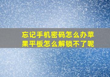 忘记手机密码怎么办苹果平板怎么解锁不了呢