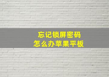 忘记锁屏密码怎么办苹果平板