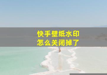 快手壁纸水印怎么关闭掉了