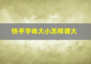 快手字体大小怎样调大