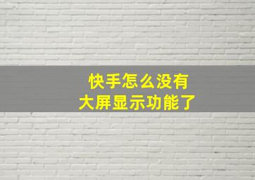 快手怎么没有大屏显示功能了