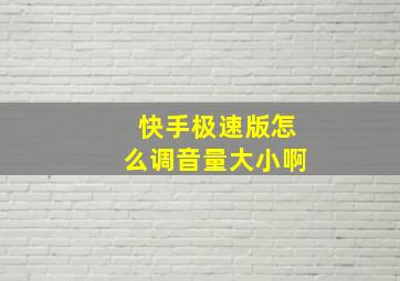 快手极速版怎么调音量大小啊