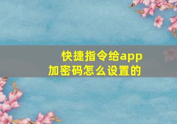 快捷指令给app加密码怎么设置的