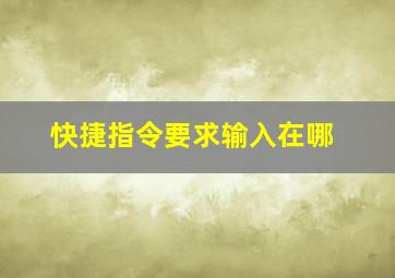 快捷指令要求输入在哪