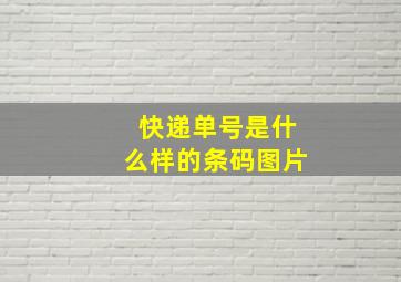 快递单号是什么样的条码图片