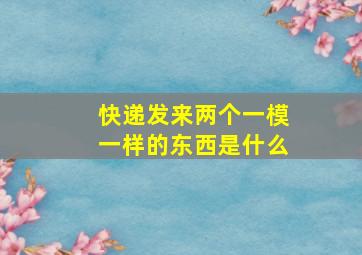 快递发来两个一模一样的东西是什么