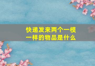 快递发来两个一模一样的物品是什么