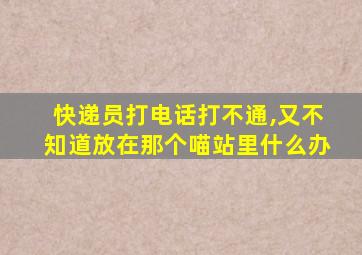 快递员打电话打不通,又不知道放在那个喵站里什么办