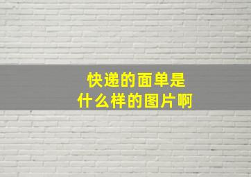 快递的面单是什么样的图片啊