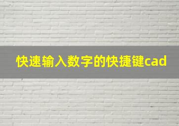 快速输入数字的快捷键cad